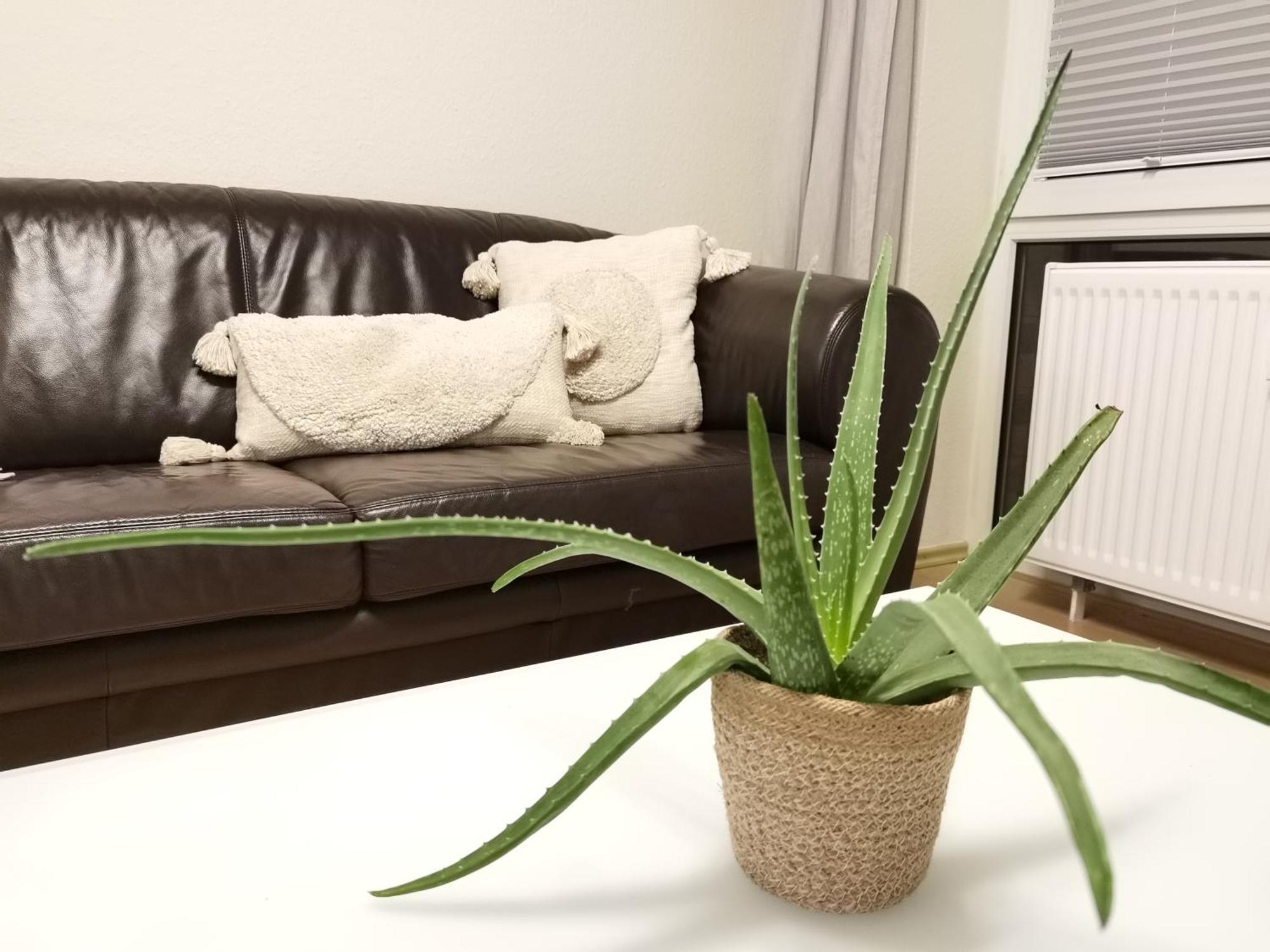 Schaake Schillig-strandnahe Wohlfuehloase Mit Modernem Flair Und Kostenlosem Parken Apartment Schillig